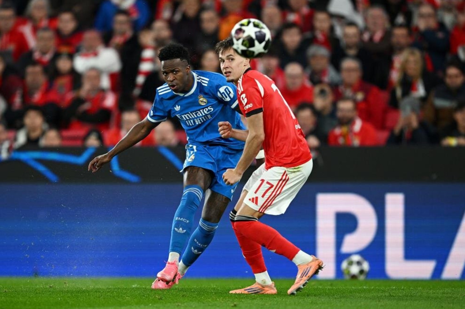 Nhận định soi kèo Real Madrid vs Benfica lúc 03h00 ngày 26/2/2026